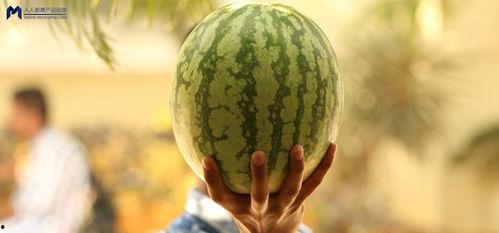 娱乐圈可以吃的大瓜,揭秘明星背后的惊人真相